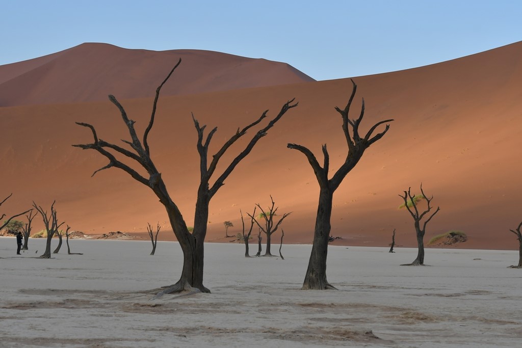 Zoran Furman Namibija in Južna Afrika